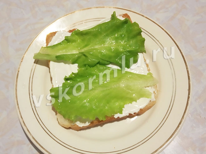 Листья салата на бутерброде
