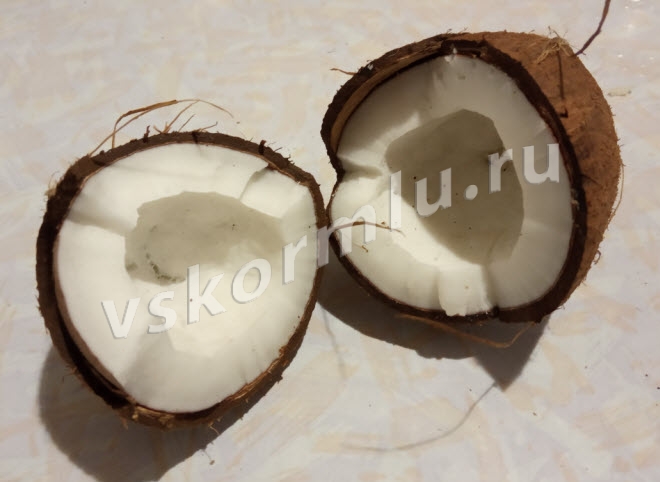 Кокос - экзотический орех, полезный для мамы и ребенка при ГВ