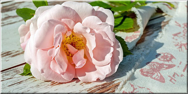 Варенье из лепестков роз очень полезно и имеет ни с чем не сравнимый вкус, однако оно может вызвать аллергию у грудничка, поэтому будьте осторожны при введении его в рацион