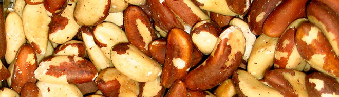 Самые полезные орехи для кормящих мам