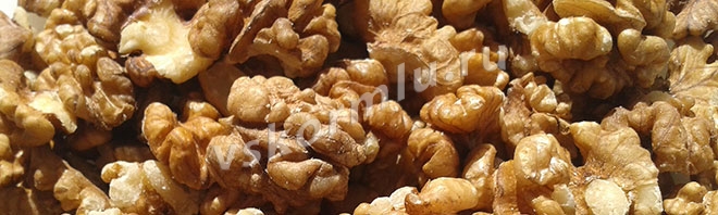 Грецкие орехи при лактации польза