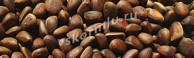 Аллергия на орехи у ребенка от грудного вскармливания thumbnail